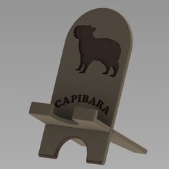 Imagen1.jpg Capibara soporte