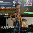 IMG_6135.jpg Woody