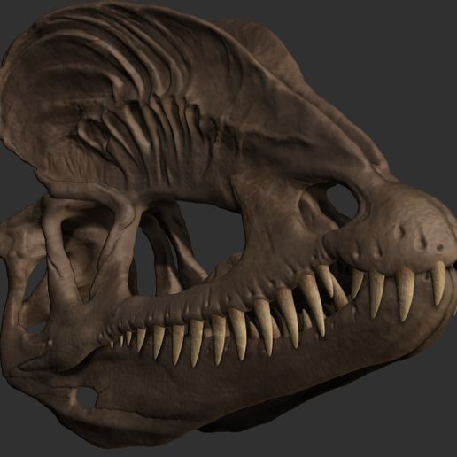 ZBrush-Document.jpg Dilophosaurus-Schädel