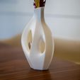 _DSC8651-2.jpg Organic Sculptural Dry Flower Vase