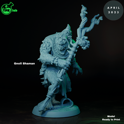 1.png 3D file Gnoll Shaman・3D print model to download