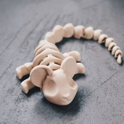 3D-Print-Articulated-Mouse-Skeleton-17.jpg Flexi Mouse Skeleton