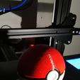 Pokeball Switch Cartridge Case