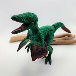 IMG_20230726_184517_F.jpg Archivo STL Velociraptor Flexi・Objeto imprimible en 3D para descargar