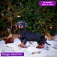 1.jpg Weenie the articulated real looking dachshund sausage dog toy