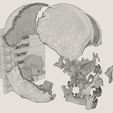 wf8.jpg Skull bones colored separable labelled