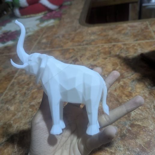 WhatsApp-Image-2025-11-27-at-11.57.20-AM.jpeg Elephant lifting its trunk LOW POLY