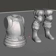 torsolegs.jpg Armor - Torso and Legs
