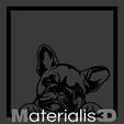 2.png Male French Bulldog picture frame