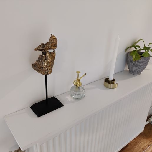 IMG_20230926_145807.jpg Heizkörperregal ohne Wandbefestigung in der Tiefe verstellbar