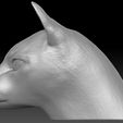 10.jpg Siamese Cat head for 3D printing