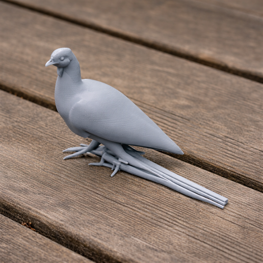 Bearded guan