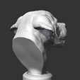 08.png Labrador Retrieve Head AM26 3D print model