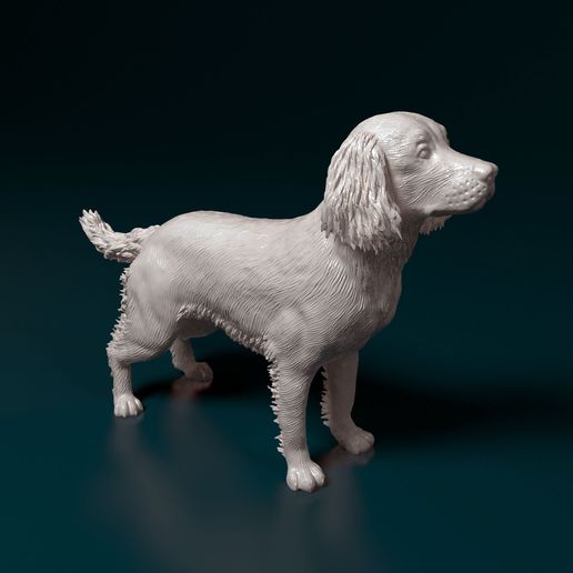 🐕 English Springer spaniel・ STL File for 3D printing・Cults