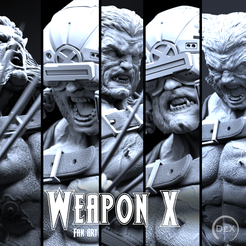 5-Portratis.png 3D file DEX weapon X・3D print object to download
