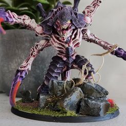 СВОБОДНОЕ ПРОСТРАНСТВО CHONKY BUG