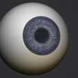1.jpg Human eye