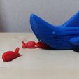 picture (2).jpg STL file Shark Toy・3D printing model to download