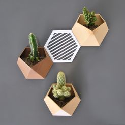 Magnetic Vase Pic.jpg Archivo STL JARRÓN MAGNÉTICO DE LA NEVERA・Objeto de impresión 3D para descargar