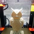 IMG_20180402_044131.jpg Owl LED Lamp