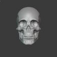 skull03.jpg Human Skull 2.0