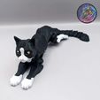 403632760_7306868689375996_9192156081892215047_n.jpg Flexi Cat, Print-in-Place, Articulated Kitty