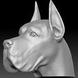 11.jpg Great Dane head for 3D printing