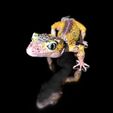 LeopardGecko_BySophie_Szene0005.jpg Leopard Gecko (Color Shape)-STL 3D Print File - with Full-5