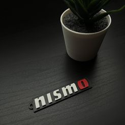 IMG_1249.jpg Porte-clés Nismo