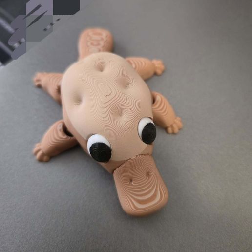 501054473_10161507369080423_1296717083944913632_n.jpg Flexi Plataterpus- part potato, part platypus, all adorable!!