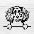 murbrique.jpg Boykin Spaniel dog wall decoration