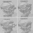 AllSkulls-Charity.jpg TItan Skull Heads For Charity-Bulk Pack