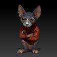 Sphynx-with-Jacket-and-Drawstrings-5.png Sphynx with Hoodie