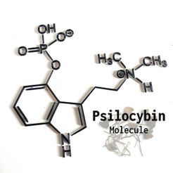 Psylocibintext.jpg Psylocibin Molecule