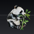 Capture-d'ecran-2025-08-10-a-00.45.45.png little panda