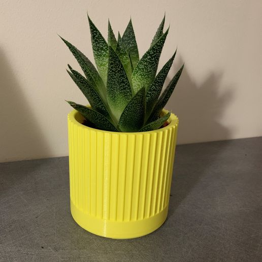 IMG_1638.JPG Maceta para flores - Maceta para plantas