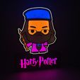 IMG_2202.jpg Alvus , Harry Potter Collection.