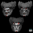 BNBBNN.png WOLVERINE 3 HEADS