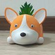 5733a19d-1050-4dab-a395-ad35fb6ace4f.jpg Planter corgi, dog, flower pot
