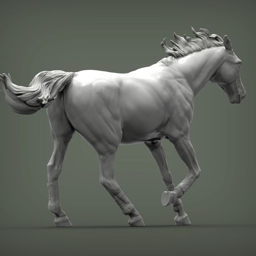 racehorse-3d-model-3c616f6090.jpg Modelo de impresión 3D de un caballo de carreras
