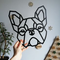 IMG_20191208_123206.jpg STL-Datei French bulldog・Modell zum Herunterladen und 3D-Drucken