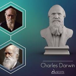 01.jpg STL file Charles Darwin portrait sculpture 3D print model・3D print model to download