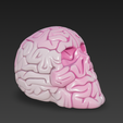 Snimok-ekrana-2025-12-19-v-12.47.13.png scull brain