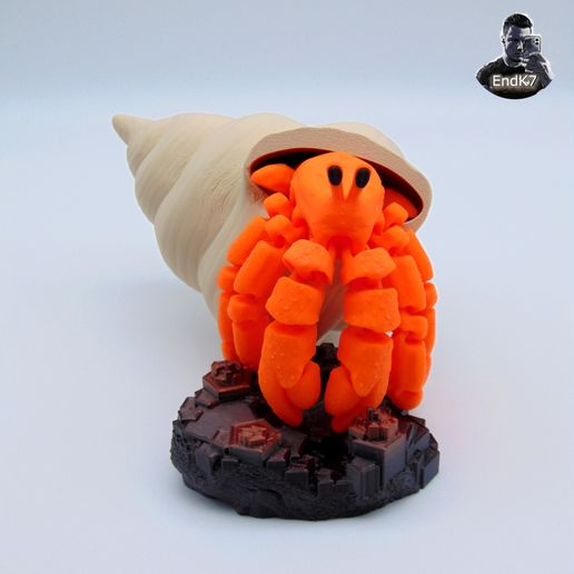 HERMIT SHELL おもちゃ HERMIT SHELL おもちゃ 【公式通販】