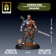 colonel-3.jpg Commando Colonel