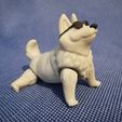 IMG_20220228_165348.jpg Archivo STL FLEXY CORGI・Diseño de impresora 3D para descargar