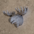 low-poly-head-elk-1.png moose elk head wall mount low poly geometrical stl 3d print