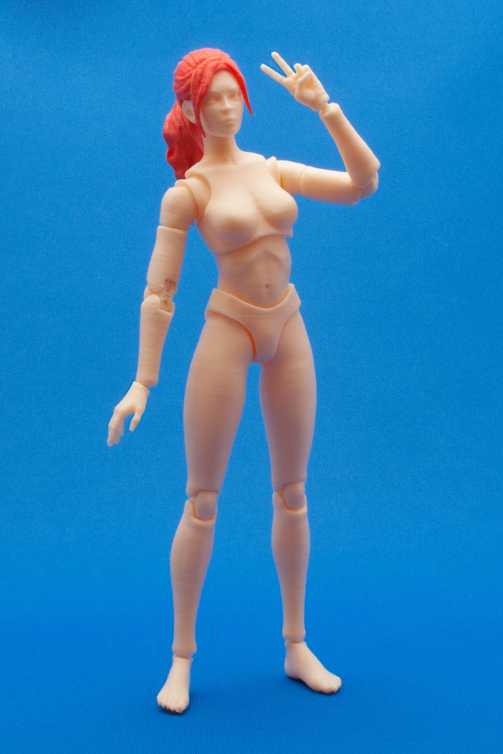DSC_0028.jpg Datei 3D Articulated Poseable Female Figure・Design für 3D-Drucker zum herunterladen, RikkTheGaijin