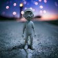 WhatsApp-Image-2023-10-19-at-06.26.24.jpeg Felipe Hime miniature