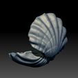 shell-02.jpg Ostra